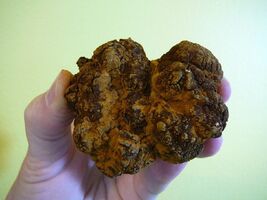 Item image 1 image 1