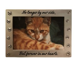 Pet Memorial Picture Frame Keepsake for Dog or Cat, Perfect Loss of Pet ... - £27.51 GBP