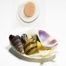 Seashell Bathroom Decor &amp; Soap in Dish Dollhouse Miniatures by Beth #3 - £9.91 GBP