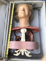 Vintage~Anatomical Training  Anne Manikin Female Respiratory, LA County Fire Dep - $336.59