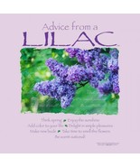 Lilac T-shirt Ladies S M L Advice Cotton NWT Short Sleeve New - £16.12 GBP