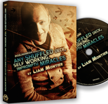 Any Shuffled Deck - Self-Working Impromptu Miracles by Big Blind Media - Trick - £22.90 GBP
