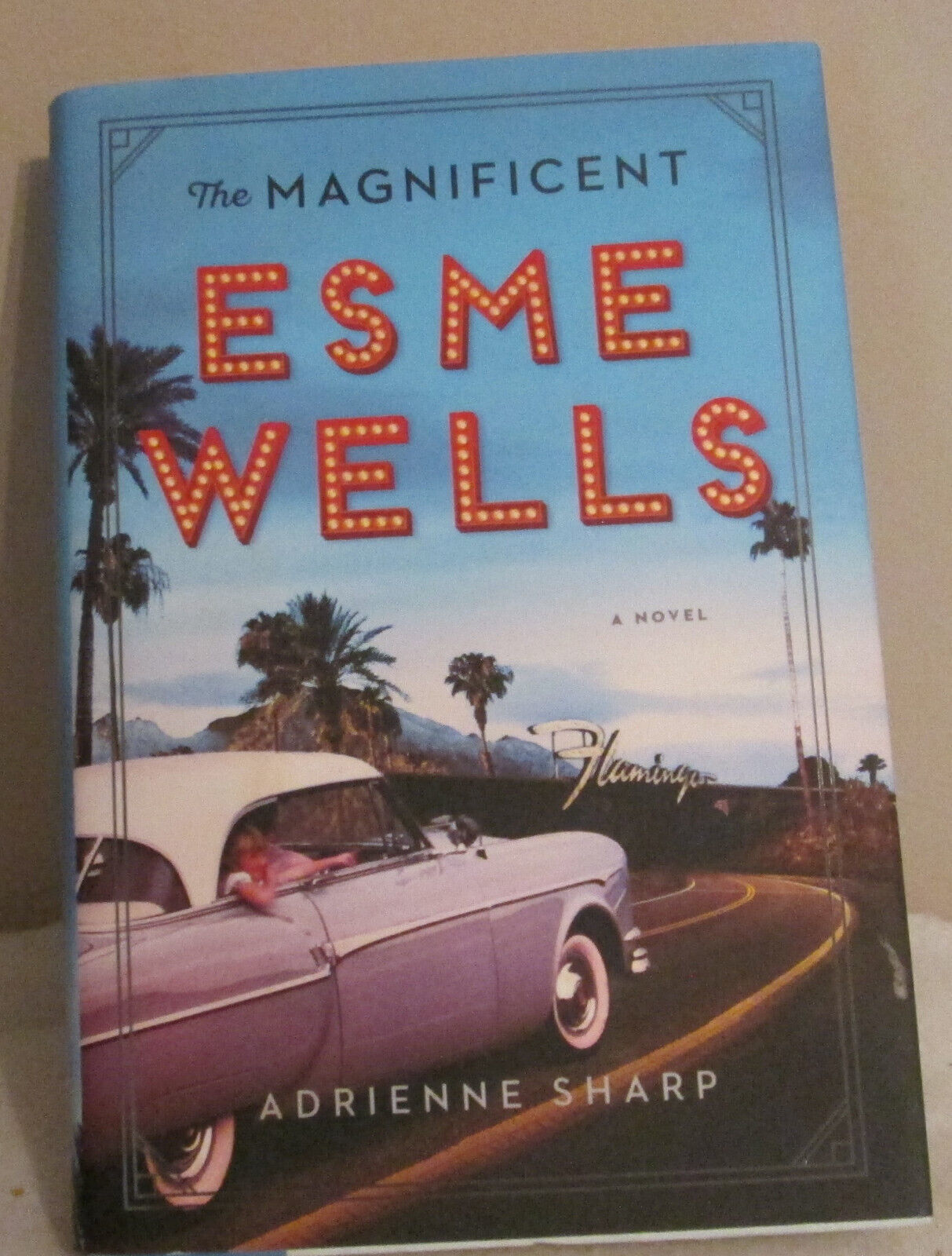 The Magnificent Esme Wells: A Novel by Adrienne Sharp 2018 Hardcover- Ja... - £5.74 GBP