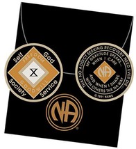 10 Year Orange and Black NA Medallion Official Narcotics Anonymous Chip - £32.43 GBP