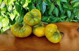 Tisseeds 30 Cherokee Green Tomato Seeds Heirloom Organic Non Gmorare Fast Ship U - £6.87 GBP