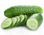 25 National Pickling Cucumber Seeds Fast Shipping - $8.99