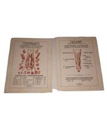 Dept. Agriculture Pork &amp; Veal Charts, Cuts &amp; Uses Vintage Original Set O... - £80.63 GBP