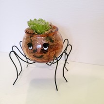 Spider Planter with Succulent, Halloween Pot, Sempervivum, Hens and Chicks image 4