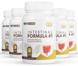5 Pack Intestinal Formula #1, promotes regular bowel movements-60 Capule... - $153.44