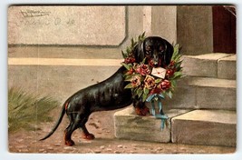 Dachshund Puppy Dog Postcard Holds A Letter In Mouth Flowers Aug Muller 1907 - £26.03 GBP