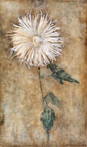 14262.Decor Poster.Room wall art.Piet Mondrian painting.Chrysanthemum flower - £12.67 GBP+