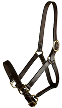 Gatsby Adjustable Leather Turnout Halter in Solid Brass - $34.60+