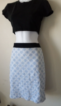 Ann Taylor Blue &amp; White Embroidered Skirt Women&#39;s Size 6 Lined - $14.85