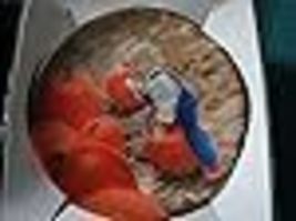 Item image 12