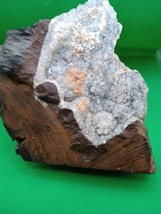 Very Unique Petrified Wood with Druzy Quartz - Geothite - Barite ~ FREE SHIPPING - £80.66 GBP
