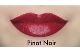 Manna Kadar Beauty LipLocked Lip Locked Priming Gloss Stain PINOT NOIR T... - $8.89