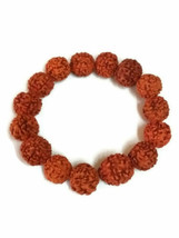 Rudraksh Rudraksha Bead Bracelet Wrist Band Wristband Mala Yoga Hindu Meditation - £7.74 GBP