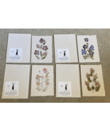 4 lot Handmade Pressed Flower Cards with Envelopes -Crafted by Madagasca... - $41.01 CAD