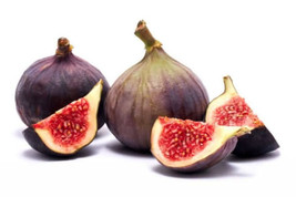 100 Seeds Texas Blue Giant Fig Seeds for Garden Planting  - $8.85