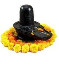 Shivling Black Marble lord shiva lingam protect your place removes vastu... - £568.22 GBP