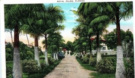 Royal Palms Florida Postcard Posted 1931 - £5.49 GBP