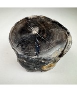 Eden Valley Petrified Wood Blue Forest Wyoming Polished Limb Botryoidal ... - $59.39