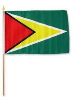 AES 12x18 12&quot;x18&quot; Wholesale Lot of 3 Guyana Stick Flag Wood Staff Vivid Color an - £11.09 GBP