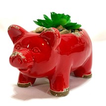 Red Pig Faux Succulent Plant Container Desk Mini Farmhouse Decor - $22.18
