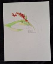 Original Signed Beverly Ellstrand Color Sketch Floral Still Life Costa R... - $23.00