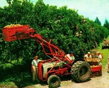 Citrus Harvest in Florida FL 1959 Chrome Postcard Agriculture Machinery ... - $2.92