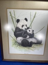 Vintage Guy Coheleach Panda Bear &amp; Cub Framed Lithograph Bamboo Forest Wildlife - £47.87 GBP
