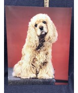 Vintage 90’s Poster Wall Art Print Of Cute Dog 16”x20” Japan - £10.98 GBP