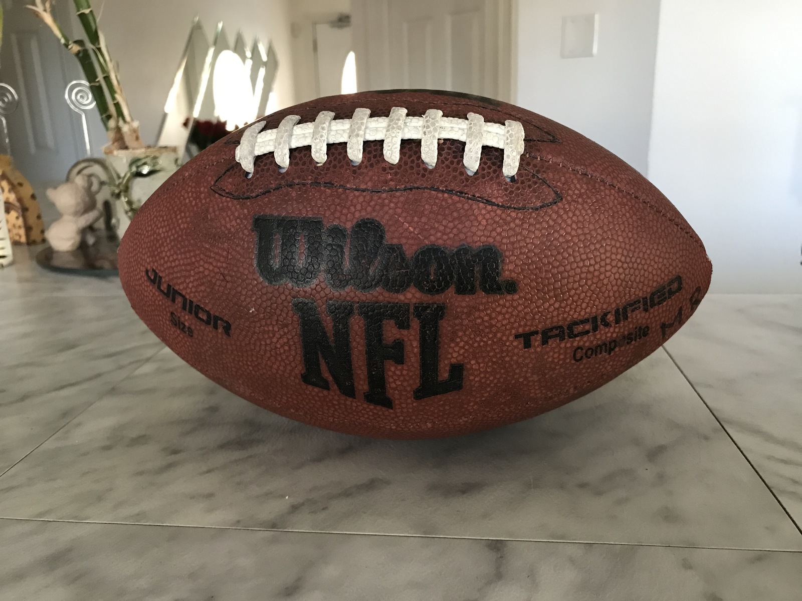 Wilson NFL Junior Size 7-9 lbs. Ball (trackified composite) - £15.97 GBP