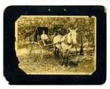 Well Dressed Man in Horse Drawn Buggy Photograph  - £19.79 GBP