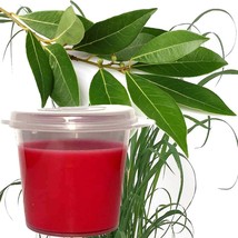 Eucalyptus &amp; Citronella Scented Soy Wax Candle Melts Shot Pots, Vegan, Hand Pour - £12.51 GBP+