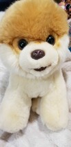 Boo the cutest dog plush - £15.98 GBP