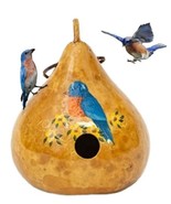 BLUEBIRD GOURD BIRDHOUSE - Amish Hand Painted Blue Bird House - $73.49 CAD