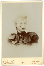 Circa 1880&#39;S Cabinet Card Beautiful Young Woman In Dress Seidle Tomahawk, Wi - £7.46 GBP