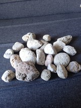 Lot of Pumice , floating stone , Lava 260 gr - $26.73