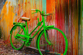 Go Green by Todd Van Fleet Bike Cycling Bicycle Flowers Canvas Giclee 24x36 - £288.84 GBP