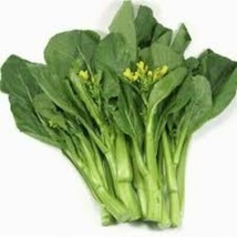 300++ Chinese Kale Kailaan Chinese Broccoli GaiLan Seeds Cải rổ, 2023 Season - £2.16 GBP