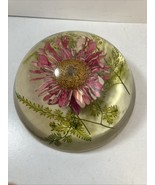Lucite Encased Las Vegas Straw Flower 4” Wide Paperweight Decorative Col... - $27.67