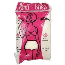 Vintage Simley Wilborn Panti Briefs 100% Stretch Nylon Panties OSFA USA ... - $18.81