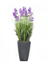 EUROPALMS Lavender, Artifical Plant, Purple, IN Deco Pot, 45cm - £22.96 GBP