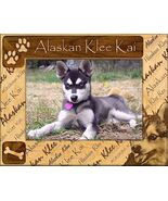 Alaskan Klee Kai Laser Engraved Wood Picture Frame Landscape (8 x 10) - $964.29 MXN