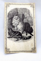 VTG Cat Antique Look Sketching Postcard Huge 3 BS LTD Great Falls VA 196... - $110.74 MXN