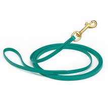 Dog Pet Leash Blue Aqua w/ Brass Hardware W 3/8&quot; - L15&#39; - £36.33 GBP