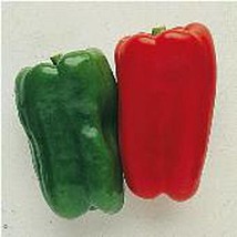 USA Seller Long Red Bell Sweet Peppers Seeds Fast Shipping - $12.80