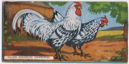 Cowan Co Toronto Card Silver Spangles Hamburgs Chicken Series - £7.78 GBP
