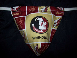 New Sexy Mens FLORIDA STATE UNIVERSITY Gstring Thong Male Lingerie Under... - £15.21 GBP